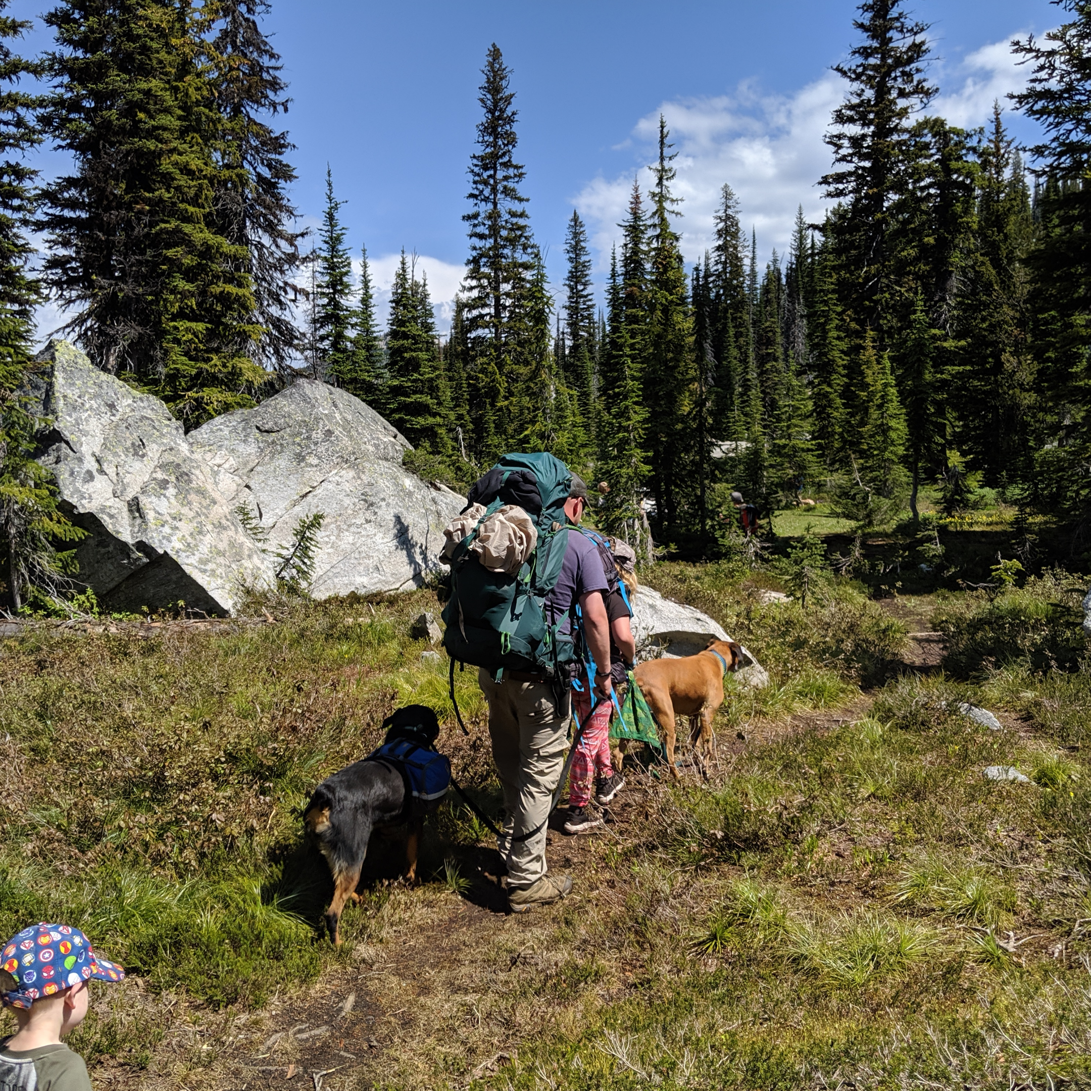 Backpacking With Kids
