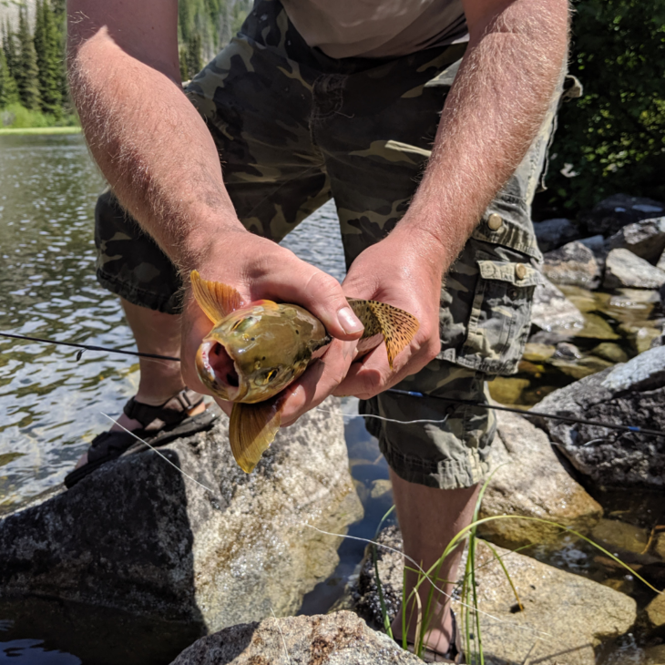 Fishing with Kids: A Noobs Guide to Getting your Children Fishing