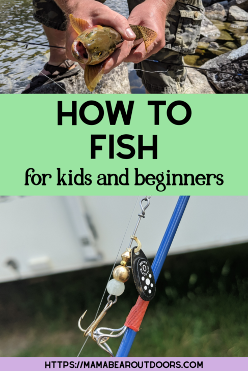 How to fish these : r/FishingForBeginners