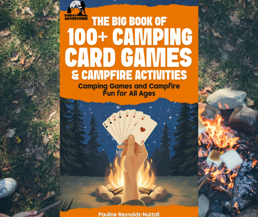 camping card games book